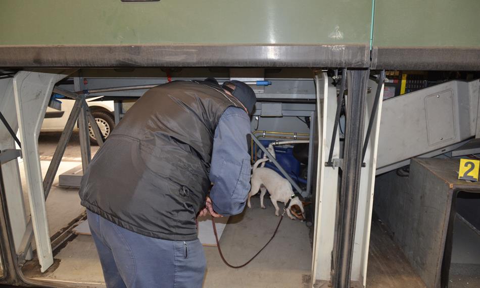 2015-3-24-931cherry v buse.JPG